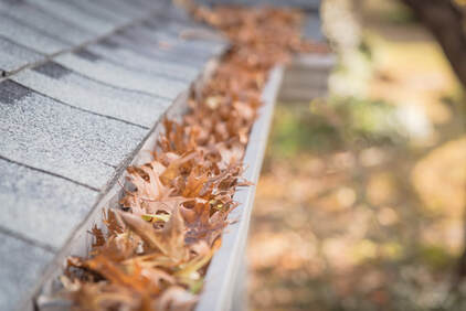 Gutter clogged with brown leaves.